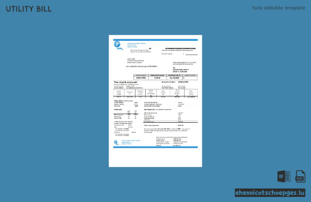 USA Florida Power and Light Company (FPL) – Beispielrechnung des Stromversorgers (Vorschau)